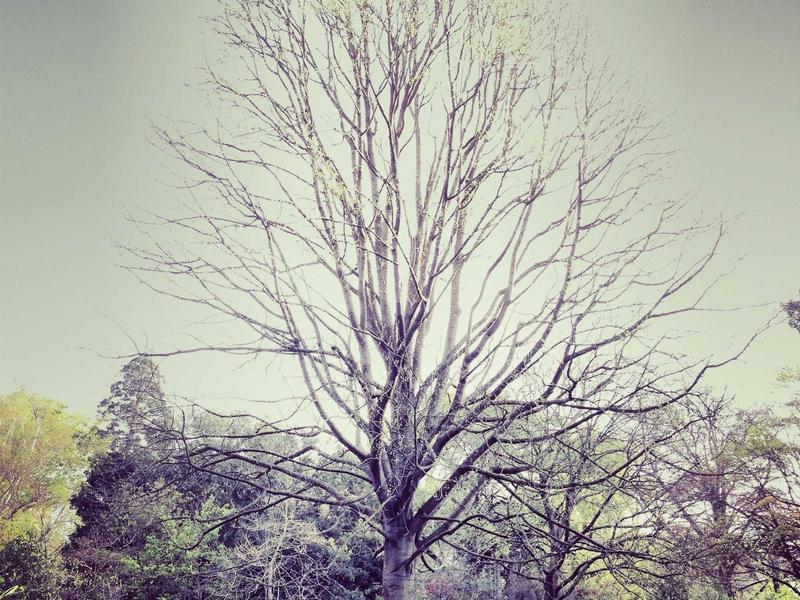 推特账号交易安全<br>买卖交接防骗防找回完整流程